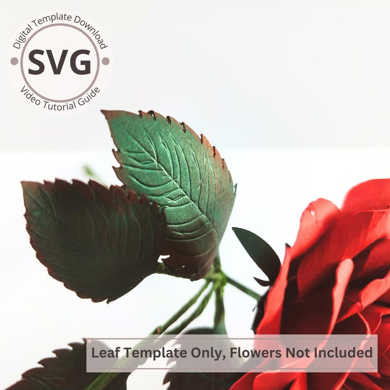 Paper Flower Rose Leaves Template Rose Leaves Digital SVG Video Paper Flower Rose Leaves Template Rose Leaves Digital SVG Video
