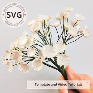 Modello di fiore di carta / Gypsophila (alito del bambino) digitale / SVG / Tutorial video / Fai da te con carta / Cricut / Bouquet di carta 3D / Facile