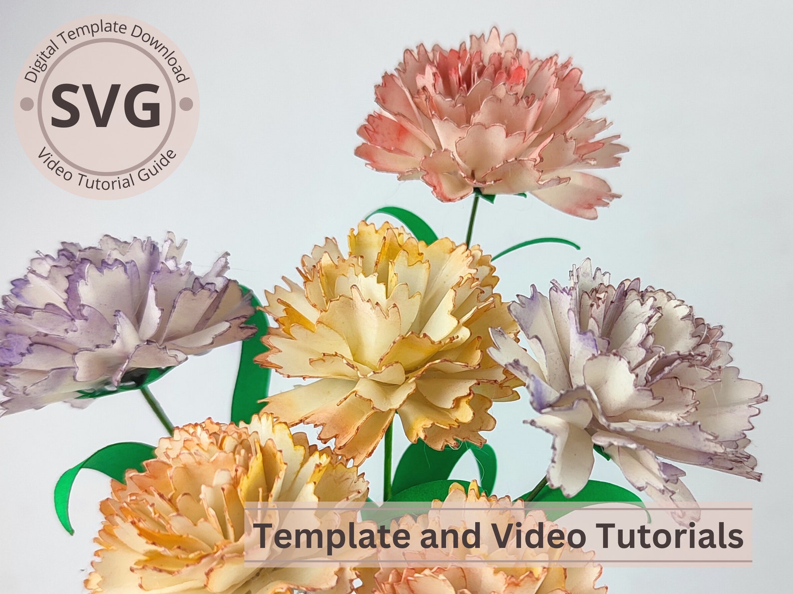 Paper Flower Carnation Template carnation & Leaves Digital SVG Video