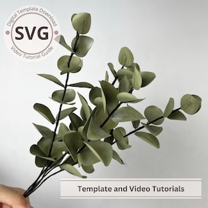 Foglie di eucalipto 3D in carta per composizioni di bouquet / File SVG Cricut / Modello di fogliame / Tutorial video / Workshop online / Fai da te