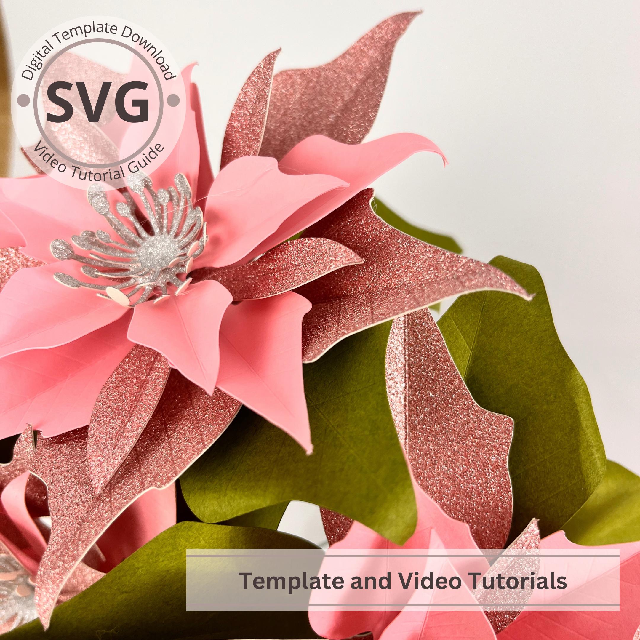 6 Papier Weihnachtsstern SVG Vorlage Weihnachtsdekoration Papierblume