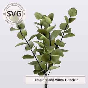 Paper Flower Eucalyptus Leaves Template | Leaf Foliage & Fillers Template | SVG | Video Tutorial | DIY Papercraft | Cricut | 3D Bouquet