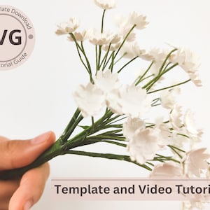 Modello di fiore di carta / Gypsophila (alito del bambino) digitale / SVG / Tutorial video / Fai da te con carta / Cricut / Bouquet di carta 3D / Facile