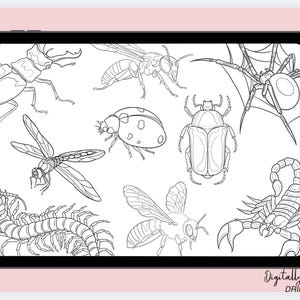 May include: A digital illustration of various insects, including a stag beetle, a dragonfly, a ladybug, a bee, a spider, a scorpion, and a centipede. The insects are drawn in black and white on a white background.