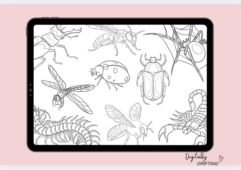 May include: A digital illustration of various insects, including a stag beetle, a dragonfly, a ladybug, a bee, a spider, a scorpion, and a centipede. The insects are drawn in black and white on a white background.