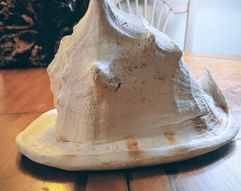 Queen's Helmet