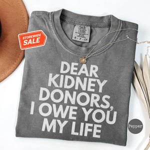 Kidney Donors Shirt, Kidney Transplant Appreciation Gift, Organ Donation T Shirt, Inspirational Kidney Tee, Unisex, Comfort Colors