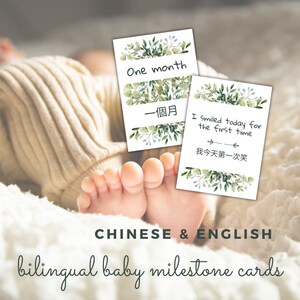Cartões de marcos para bebês em chinês e inglês - tema frondoso, 24 cartões fofos