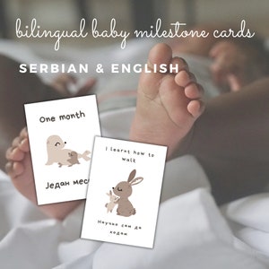 Adorables cartes jalons bilingues serbe et anglais - Lot de 24, bébés animaux de la forêt
