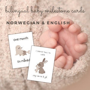 Adorables cartes jalons bilingues norvégien et anglais - Lot de 24, bébés animaux de la forêt