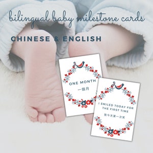 Elegantes cartões bilíngues de marcos para bebês em chinês e inglês - ilustrações de pássaros, conjunto encantador de 24
