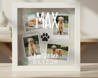 Personalized Dog Shadowbox Wooden Frame Custom Keepsake Gift For Dog Lover Home Décor Pet Portrait Memory Box Adoption Gotcha Day Gift Dog
