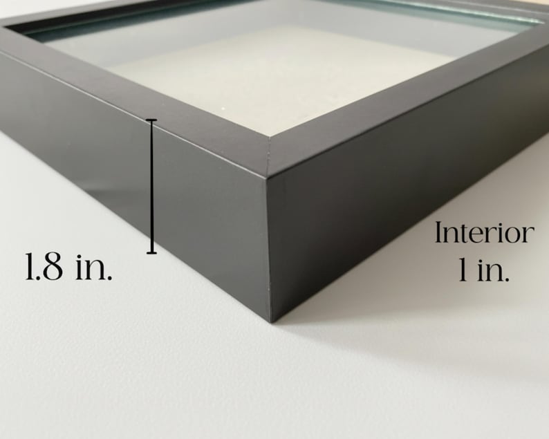 May include: A black shadow box frame with a glass front. The frame is 1.8 inches deep, with an interior depth of 1 inch. The text "Interior 1 in." is visible on the right side of the frame.
