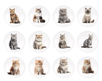Boutons de poignée de tiroir en céramique sur le thème des chatons, poignée pour chambre de bébé, boutons chats pour tiroirs de chambre d'enfant, bouton de meuble pour enfants, boutons Ikea pour enfants