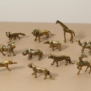 Poignées de tiroir sur le thème des animaux de la jungle, aventure, animaux sauvages, armoire, cuisine, enfants