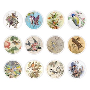 Bouton de poignée de tiroir oiseaux et fleurs, bouton de poignée d'armoire animal Bouton de commode, poignée de poignée de placard d'armoire, décoration d'intérieur