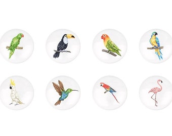 Parrot Flamingo Ceramics Drawer handle pulls, Animals Knob Handle, animal knobs for nursery drawers, Children's cabinet knob Ikea Knobs Kids