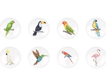 Pomelli per cassetti in ceramica a forma di fenicottero e pappagallo, pomelli per cassetti a forma di animali, pomelli per cassetti a forma di animali, pomelli per mobili per bambini, pomelli Ikea per bambini