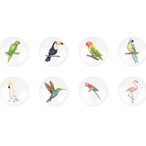 May include: Eight round white ceramic coasters with colorful bird illustrations. The birds include a toucan, a parrot, a hummingbird, a cockatoo, a flamingo, and two different types of parakeets.