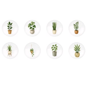 Könnte beinhalten: Acht weiße, kreisförmige Bilder zeigen jeweils eine andere Aquarellillustration einer Topfpflanze. Die Pflanzen variieren in Größe und Form, mit Töpfen in Braun-, Grau- und Goldtönen. Zu den Pflanzen gehören eine Schwertpflanze, eine Monstera und eine Hängepflanze.