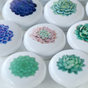 Succulents drawer knobs, botanical drawer handles,garden cabinet knobs, plant decor,cabinet knobs,knobs for drawers image 1