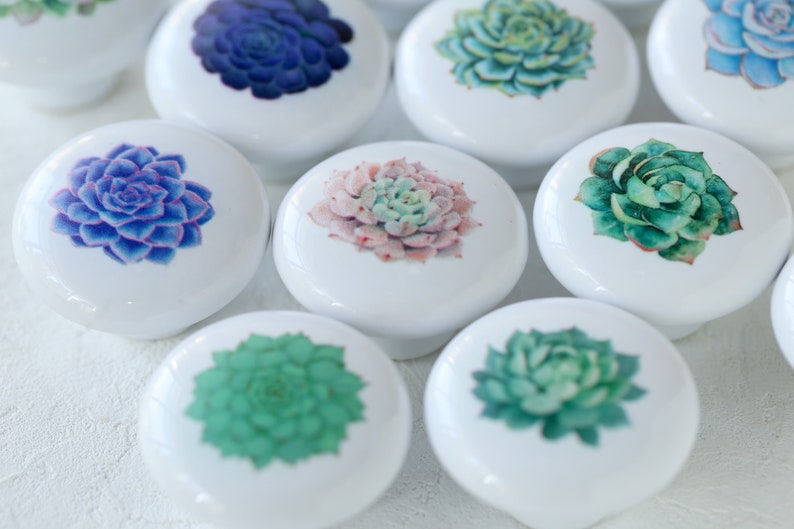 Succulents drawer knobs, botanical drawer handles,garden cabinet knobs, plant decor,cabinet knobs,knobs for drawers image 1