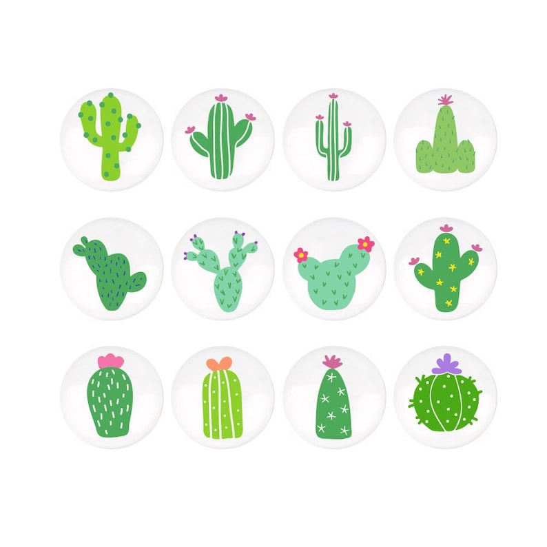 May include: Twelve different cactus illustrations on white circles. Each cactus is green with pink flowers and is drawn in a cartoon style.