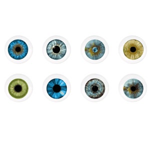 Può includere: Otto occhi di bambola rotondi in plastica di vari colori, tra cui blu, verde e marrone. Gli occhi sono posizionati su uno sfondo bianco.