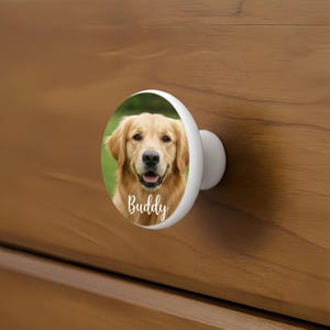 May include: A round white cabinet knob featuring a photographic print of a golden retriever dog with the name Buddy written in white cursive script across the lower portion of the image, mounted on a smooth wooden surface.