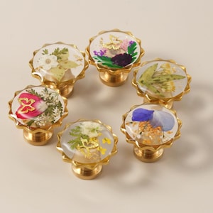 Può includere: Un set di sette pomelli decorativi per mobili. Ogni pomello presenta una parte superiore rotonda e trasparente in resina con fiori secchi di vari colori, incastonata in una base di metallo dorato. I pomelli sono disposti a cerchio.