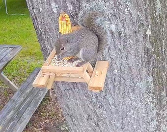 Handmade cedar squirrel picnic table feeder!!