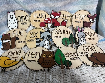 Hand Painted Baby Milestone plaques