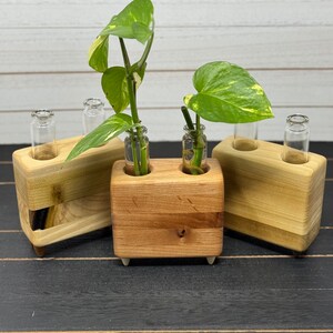 Propagation Stations | 2 Glass Vials included | Handmade | Hydroponic Vase | Indoor Plant Vase | Flower Vase | Perfect for Plant Lovers