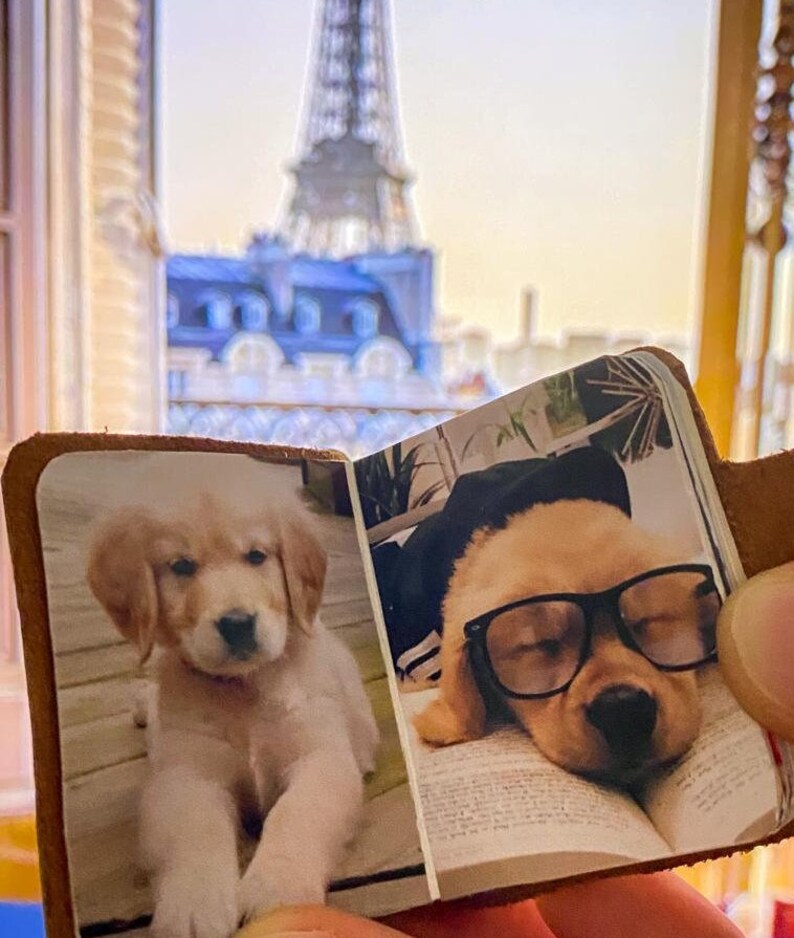 Custom Pet Keychain,Mini photo album, Dog Picture Photo Keychain,Pet Remembrance Gift,pet memorial gifts, Cat Picture Keychains, Dog Lovers image 5