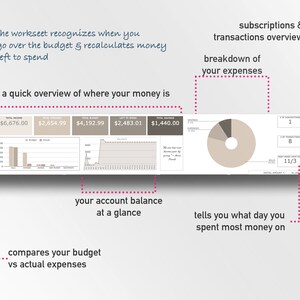breakdown of your spendings by categories, financial overview, your account balance, all in easy to read charts