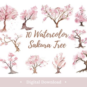 Aquarell Kirschblüten Baum Png Clipart Elegante Blumen Blume Ästhetische 10 Pastell Rosa Sakura Digital Einzelne Elemente Download Bundle