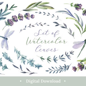 Watercolor Leaves Clipart Purple Floral Png Elegant Aesthetic 22 Pastel Digital Individual Elements Download Bundle Vol 1