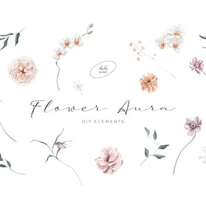 Blumen Aquarell Clipart Png Elegante Blume Ästhetische Hochzeit Dekor Elegante Pastell Rosa Blätter Bundle