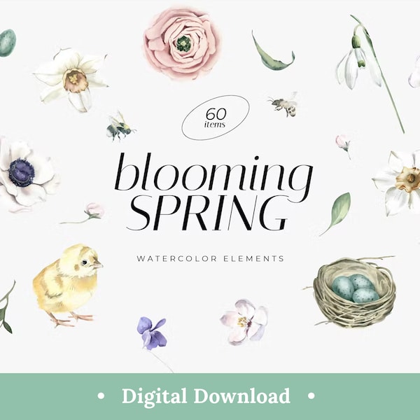 Watercolor Floral Clipart Flower Aesthetic Png Designs Pastel Spring Meadow Garden Plants Leaves Animal Individual Elements Bundle