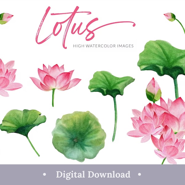 Watercolor Lotus Flower Graphic Floral Clipart Png Elegant Aesthetic 7 Pastel Pink Digital Individual Elements Download Bundle