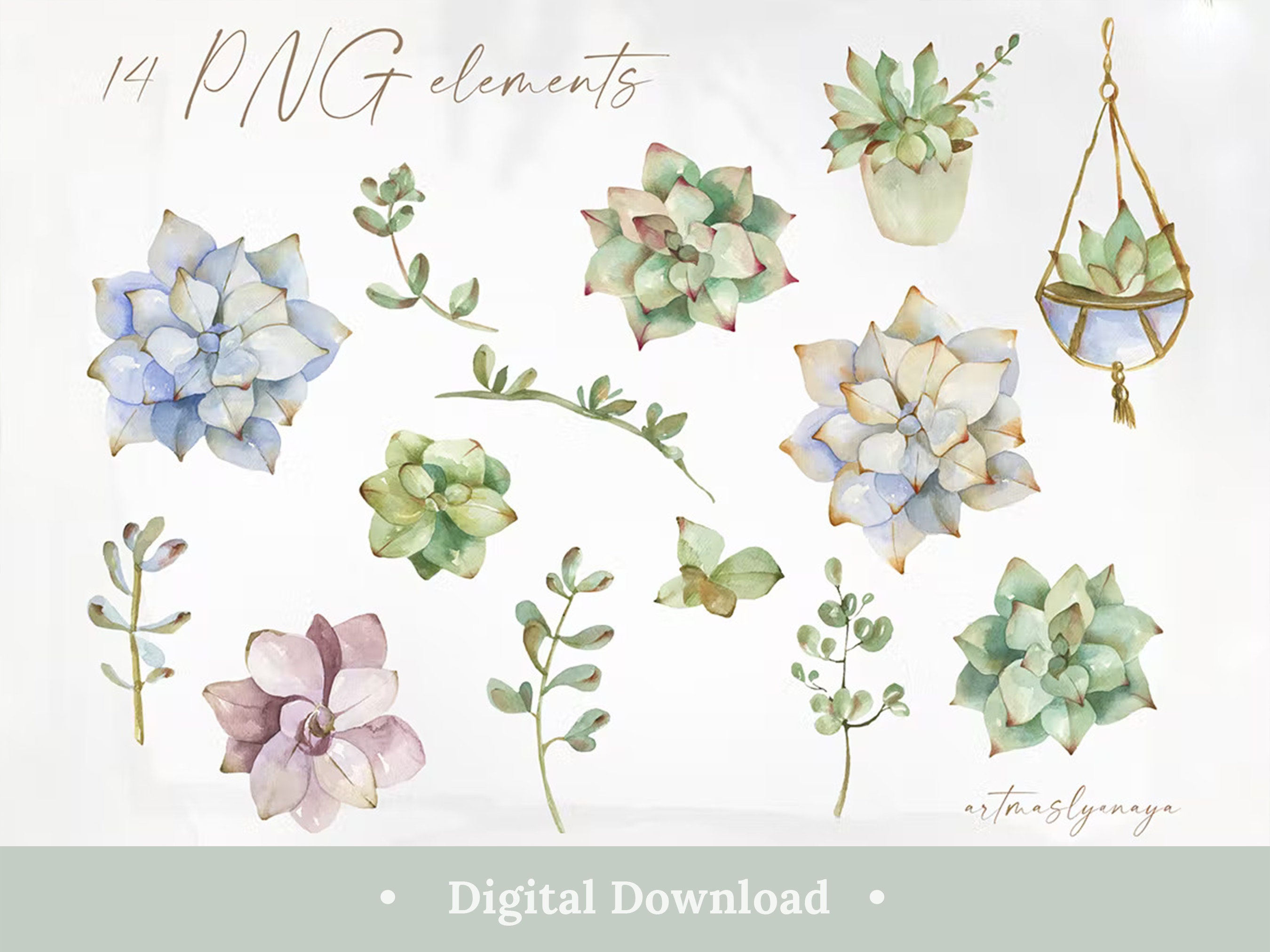 Watercolor Succulents Clipart Png Elegant Aesthetic 14 Pastel - Etsy