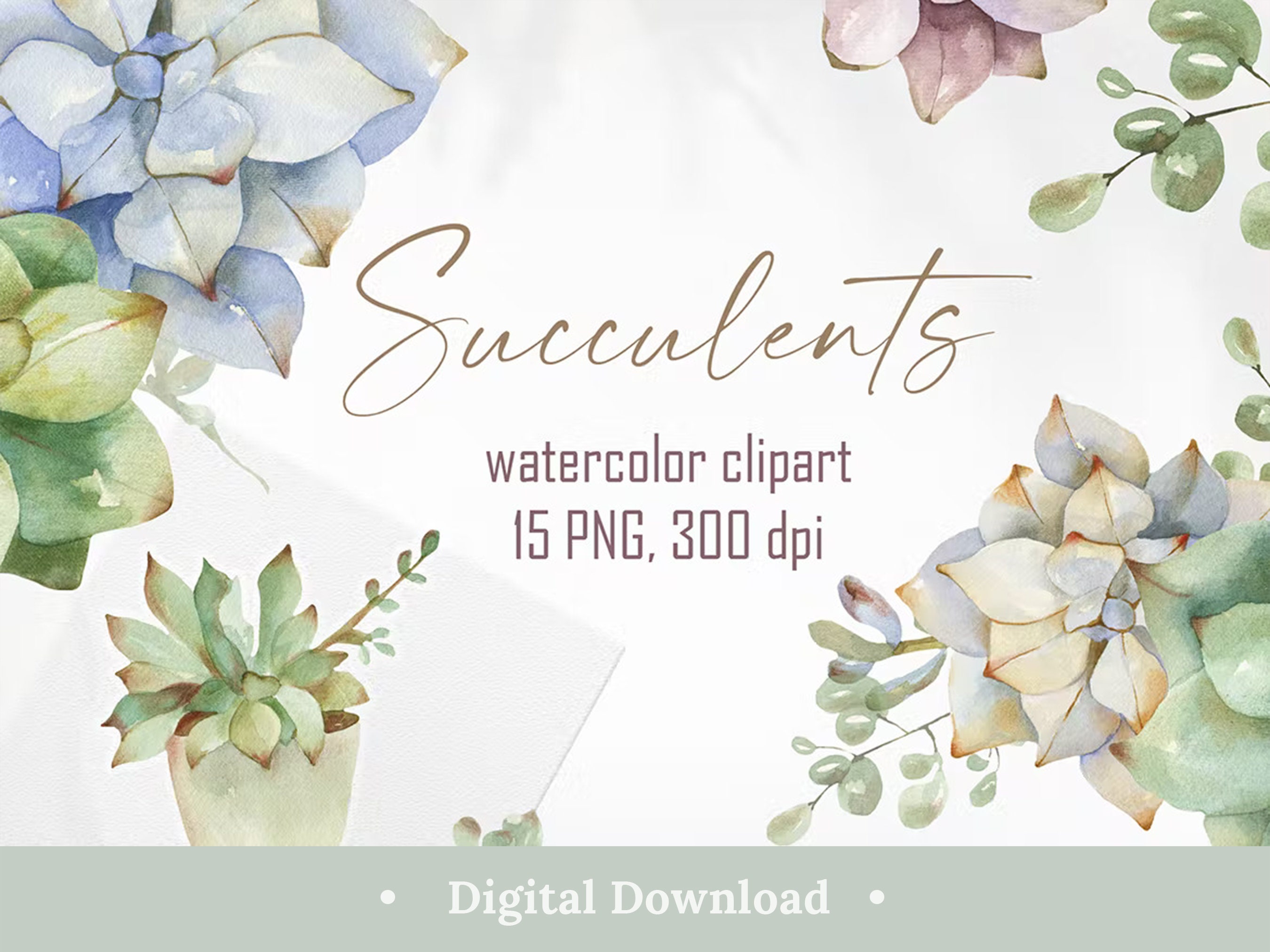 Watercolor Succulents Clipart Png Elegant Aesthetic 14 Pastel - Etsy
