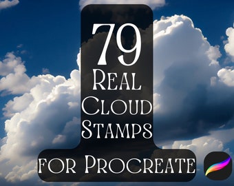 Sellos de nubes Procreate / Pinceles de nubes Procreate / Juego de pinceles de nubes / Sellos de nubes / Sellos de nubes reales