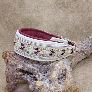 leather collar, greyhound collar, buckle collar, dog collar