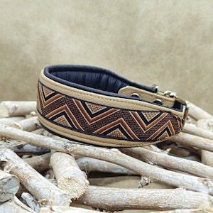 Leather collar, greyhound collar, buckle collar, dog collar