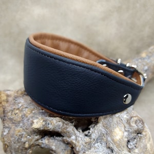 Leather collar, greyhound collar, buckle collar, dog collar