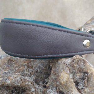 Leather collar, greyhound collar, buckle collar, dog collar, various widths