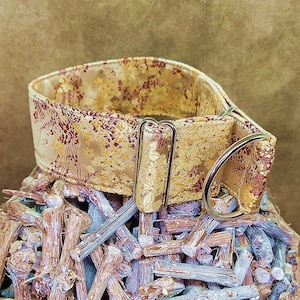 May include: A gold and red patterned dog collar with a silver buckle and D-ring.