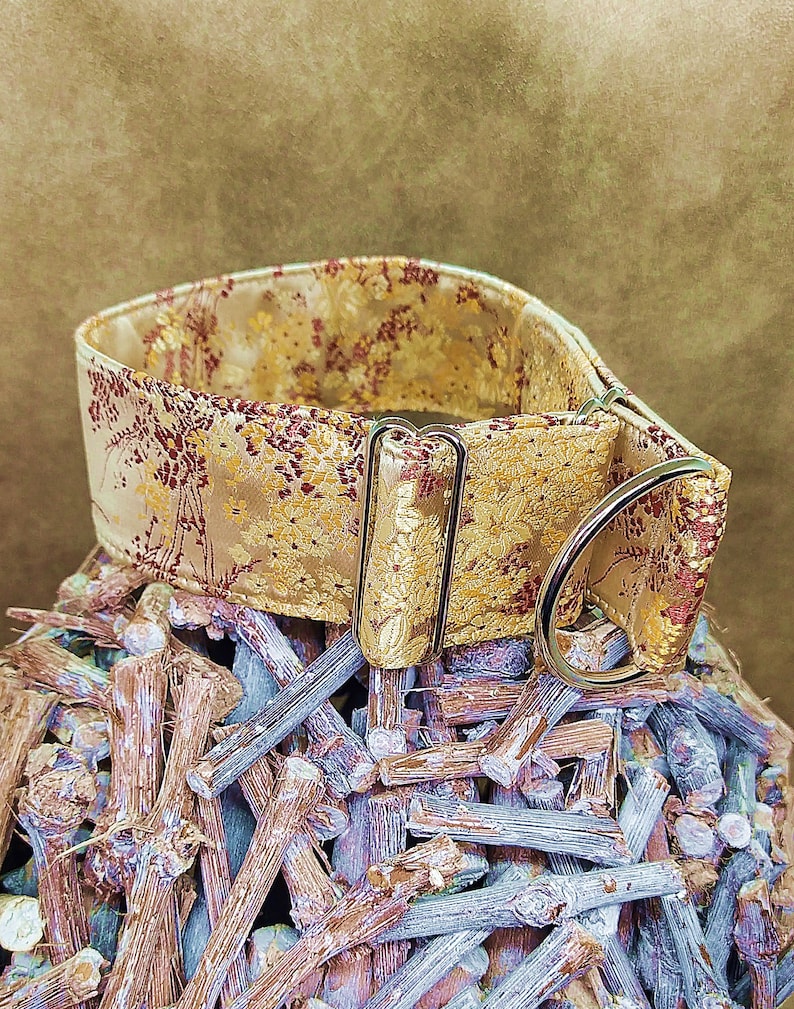 May include: A gold and red patterned dog collar with a silver buckle and D-ring.