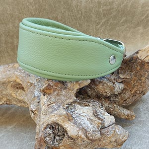 Könnte beinhalten: Ein hellgrünes Lederhalsband für Hunde mit einem breiten Band und einer silberfarbenen Schnalle. Das Halsband ist mit passendem Faden genäht und hat eine abgerundete Form. Das Halsband liegt auf einem Stück Treibholz.